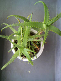 3_0180220.jpg