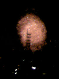 1_90684189033.jpg