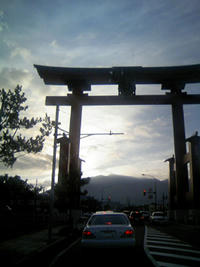 1_41213907.jpg