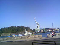 3_81207274.jpg