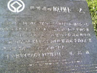 3_29112632.jpg