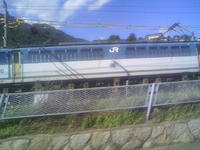 3_81202317.jpg