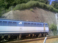 3_81202321.jpg