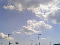3_203455.jpg