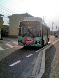 3_36931864.jpg