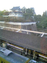 3_36931878.jpg