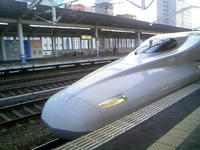 3_36931879.jpg