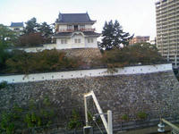 3_36931874.jpg
