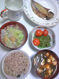 2_3122195257.jpg