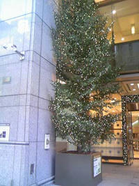 2_5181299.jpg