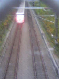 1_485162305.jpg