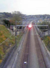1_485162307.jpg