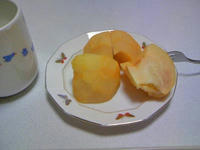 3_8193299.jpg