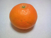 1_7465191004.jpg
