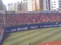 1_3817525422.jpg