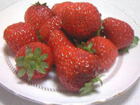 1_7414143712.jpg