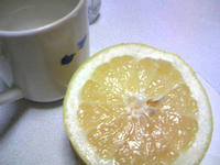 1_875311177725.jpg