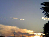 1_5982347281.jpg