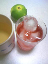 1_45204154.jpg