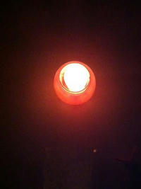 1_7771024_77762.jpg
