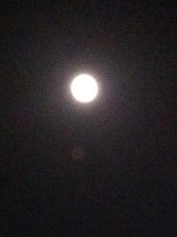 natyumi_1_0129.jpg