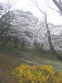 1_gwe_1054000.jpg