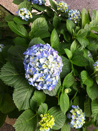1_231as1250.jpg