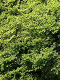 1_0jhsdfG_1183.jpg