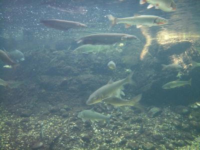 PICT1509.jpg