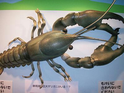 PICT1562.jpg