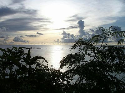 PICT1593.jpg
