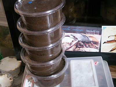 PICT2875.jpg