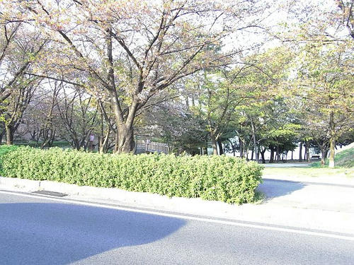RIMG0143.jpg