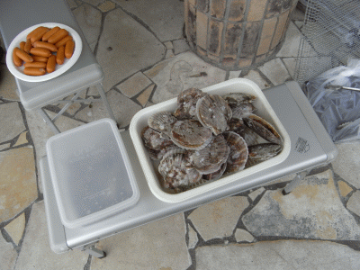 RIMG0746.gif
