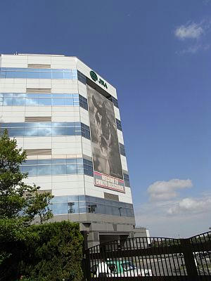 RIMG0831.jpg