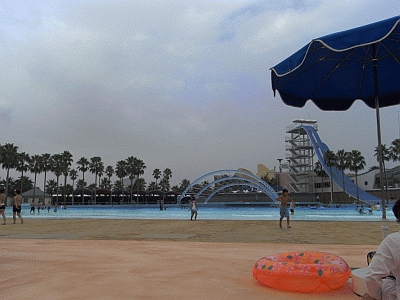 RIMG0416.gif