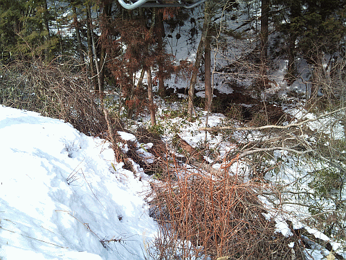 DSC_2275.gif