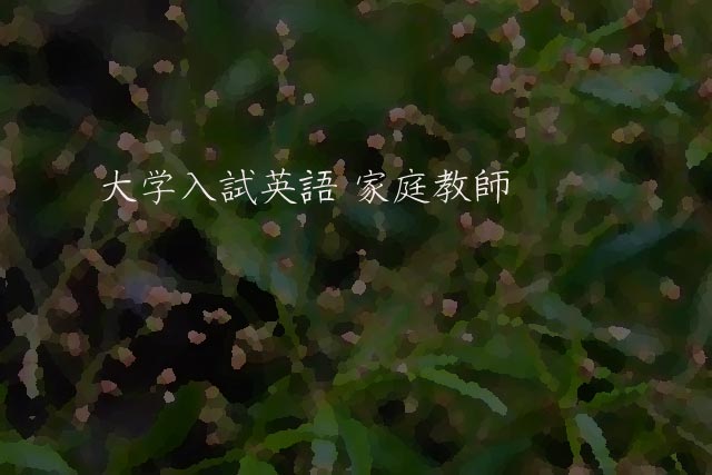 大学入試英語 家庭教師