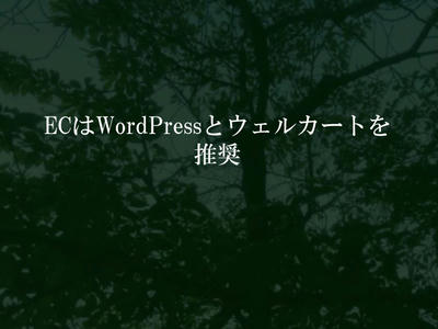 ECはWordPressとウェルカートを推奨