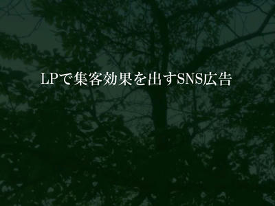 LPで集客効果を出すSNS広告
