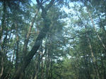 DSCF3157.JPG