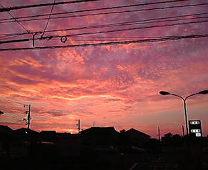 P1000012.JPG