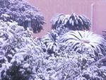 0f8685ab.jpg