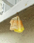 4ec5f65c.jpg