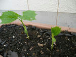 46011b05.jpg