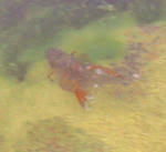 d459a2ac.jpg