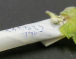 44bba605.jpg