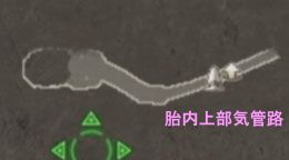巨神胎内上層