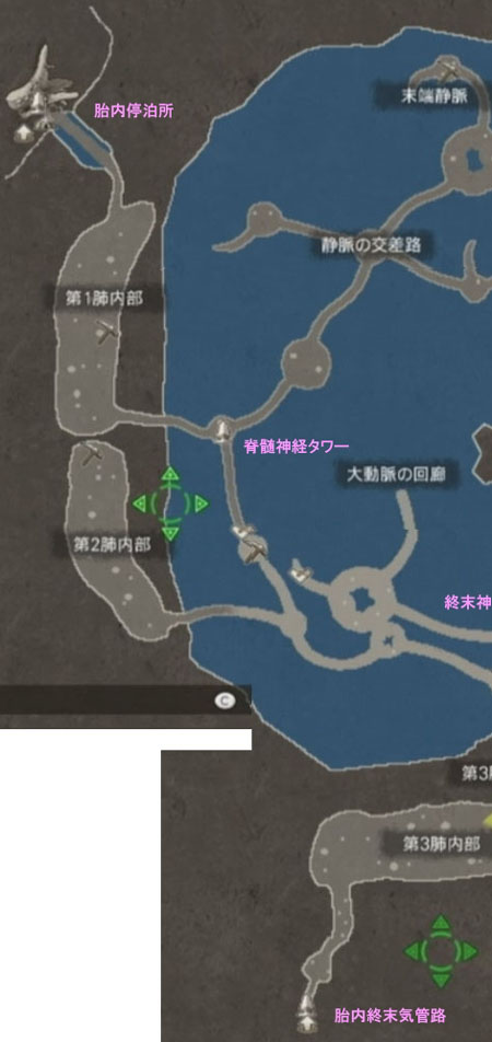 巨神胎内 下層 左