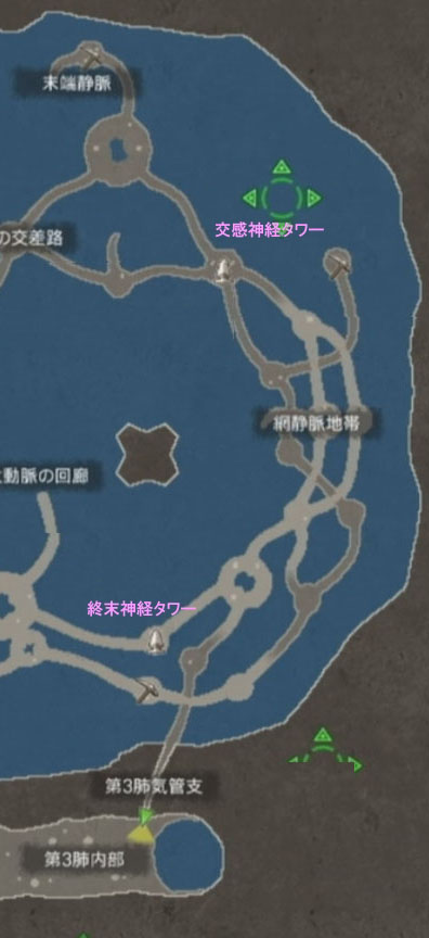 巨神胎内 下層 右